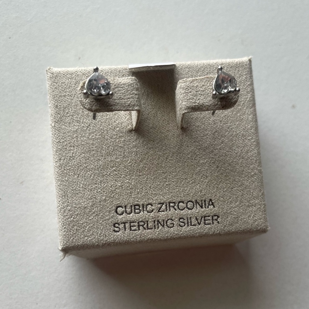 Silver Teardrop Earrings